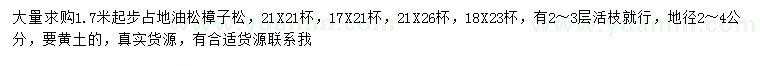 求购1.7米以上油松、樟子松