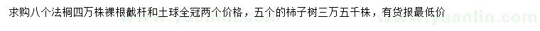 求购8公分法桐、5公分柿子树