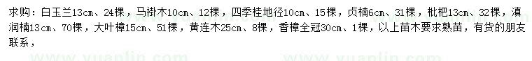 求购白玉兰、马褂木、四季桂等