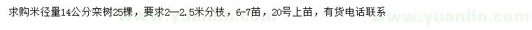 求购米径14公分栾树