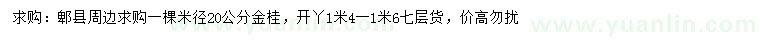 求购米径20公分金桂