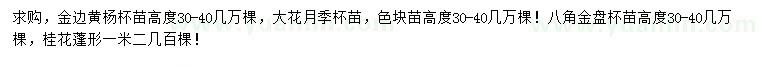 求购金边黄杨、大花月季、八角金盘等