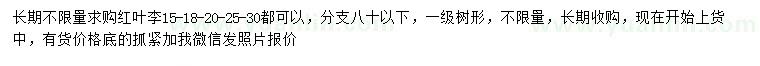 求购15-18-20-25-30公分红叶李