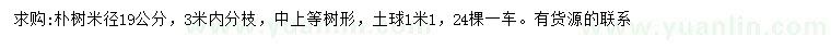 求购米径19公分朴树