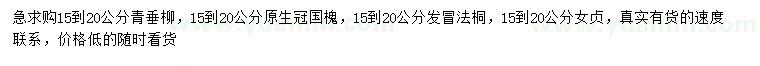 求购青垂柳、国槐、法桐等