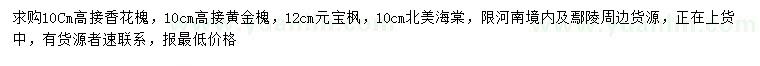 求购高接香花槐、高接黄金槐、北美海棠