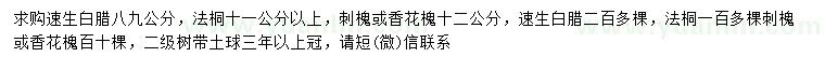 求购速生白蜡、法桐、刺槐等