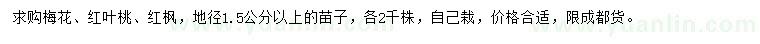 求购梅花、红叶桃、红枫