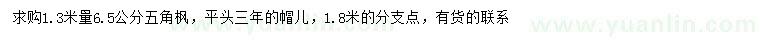 求购1.3米量6.5公分五角枫