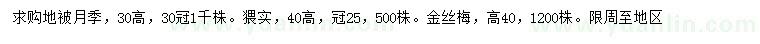 求购月季、猥实、金丝梅