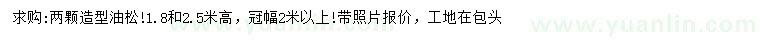 求购高1.8、2.5米造型油松