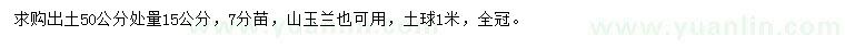 求购出土50公分处量15公分白玉兰(山玉兰)