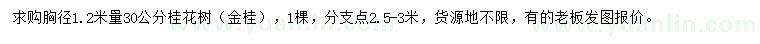 求购胸径1.2米量30公分桂花树（金桂）