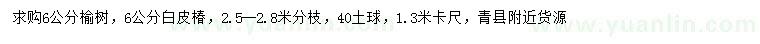 求购1.3米量6公分榆树、白皮椿