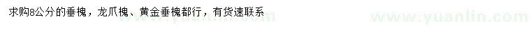 求购垂槐、龙爪槐、黄金垂槐