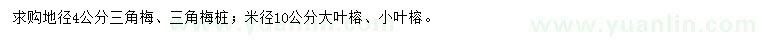 求购三角梅、三角梅桩、大叶榕等