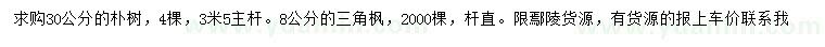 求购30公分朴树、8公分三角枫