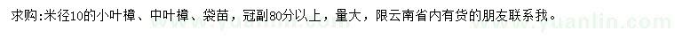 求购米径10公分小叶樟、中叶樟