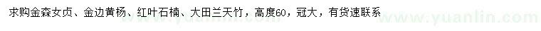 求购金森女贞、金边黄杨、红叶石楠等