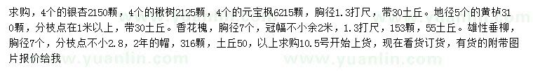 求购银杏、楸树、元宝枫等