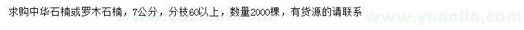 求购7公分中华石楠、椤木石楠