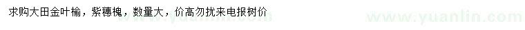 求购金叶榆、紫穗槐