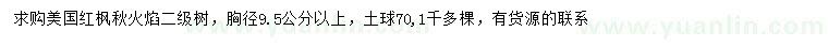 求购胸径9.5公分以上美国红枫秋火焰