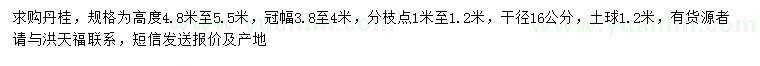 求购高4.8-5.5米丹桂