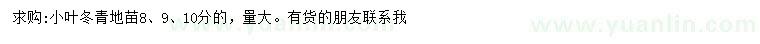 求购8、9、10公分小叶冬青