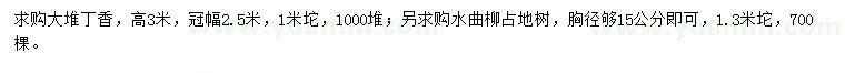 求购高3米丁香、胸径15公分水曲柳