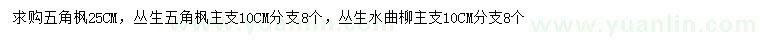 求购五角枫、丛生五角枫、丛生水曲柳