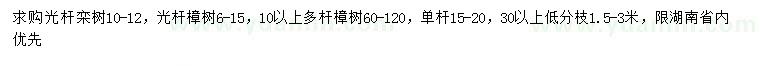 求购栾树、樟树、多杆樟树