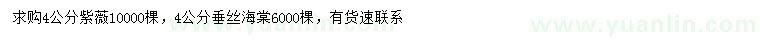 求购4公分紫薇、垂丝海棠