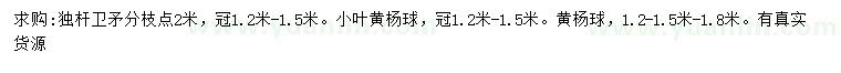 求购卫矛、小叶黄杨球、黄杨球