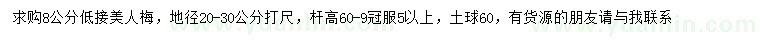 求购20-30量8公分低接美人梅