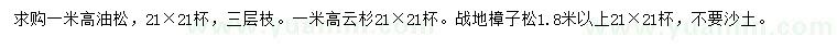 求购油松、云杉、樟子松