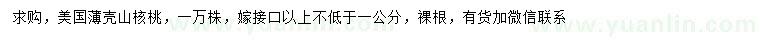 求购嫁接口以上不低于1公分美国薄壳山核桃