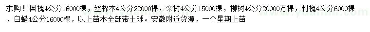 求购国槐、丝棉木、栾树等