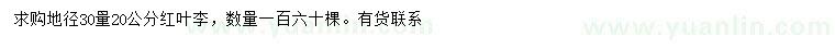 求购地径30量20公分红叶李