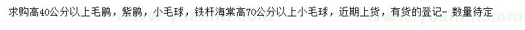 求购毛鹃、紫鹃、铁杆海棠