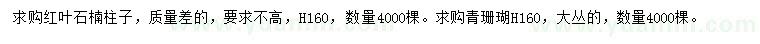 求购高160公分红叶石楠柱子、青珊瑚