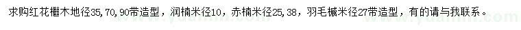 求购红花檵木、润楠、赤楠等