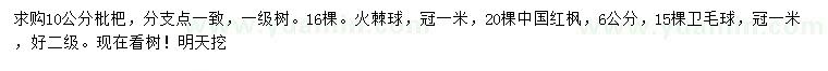 求购枇杷、火棘球、中国红枫等