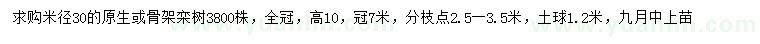 求购米径30公分栾树