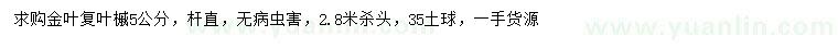 求购5公分金叶复叶槭