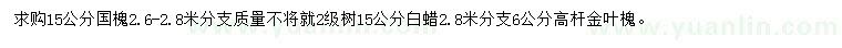 求购国槐、白蜡、金叶槐