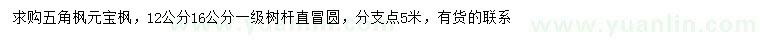 求购五角枫、元宝枫