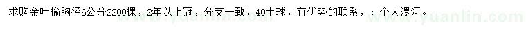 求购胸径6公分金叶榆