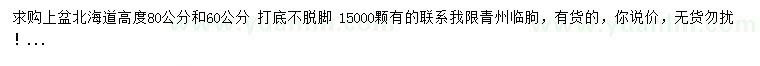 求购高60、80公分北海道