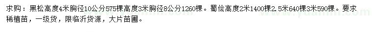 求购高4米黑松、高2米蜀绘
